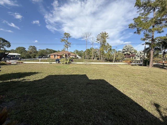 view of yard