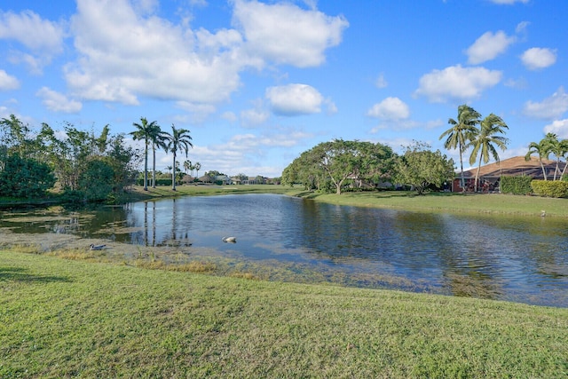 view of water feature