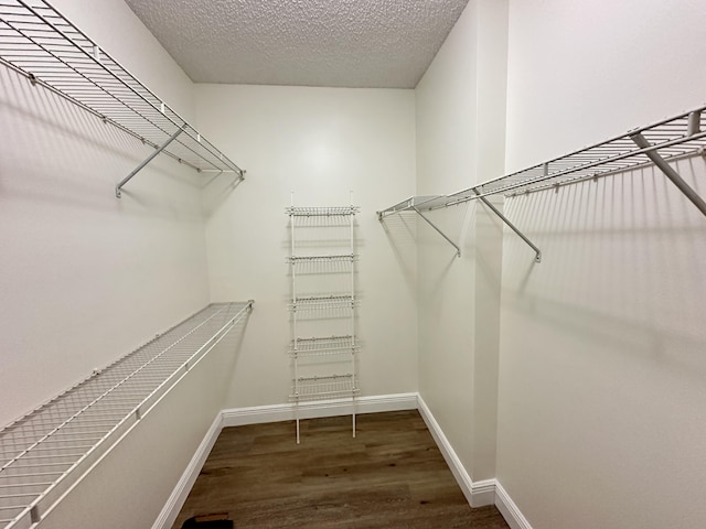 walk in closet with dark hardwood / wood-style flooring