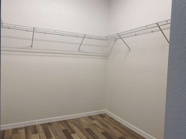 walk in closet featuring hardwood / wood-style flooring