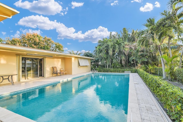 view of pool featuring a patio area