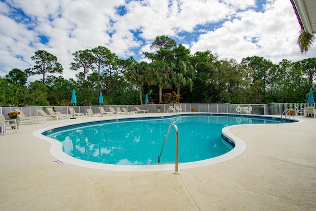 view of pool featuring a patio area