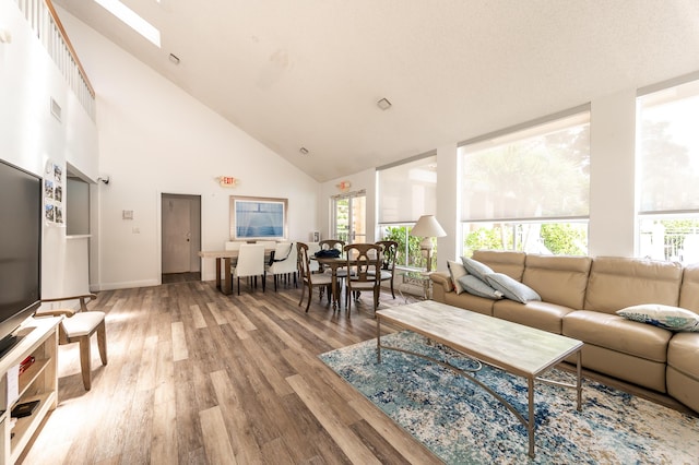 living room with wood-type flooring and high vaulted ceiling