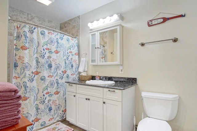 bathroom featuring vanity, a shower with shower curtain, and toilet