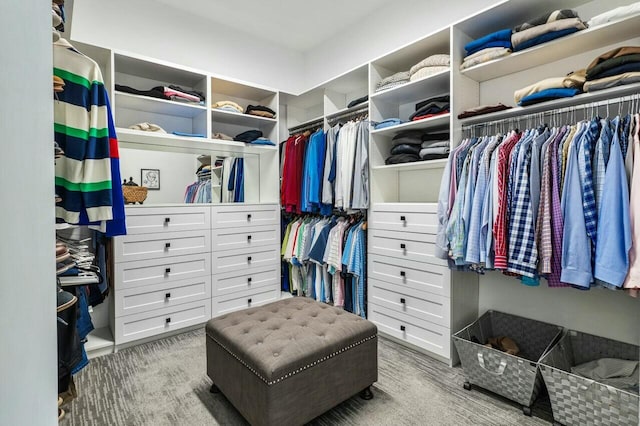 view of walk in closet