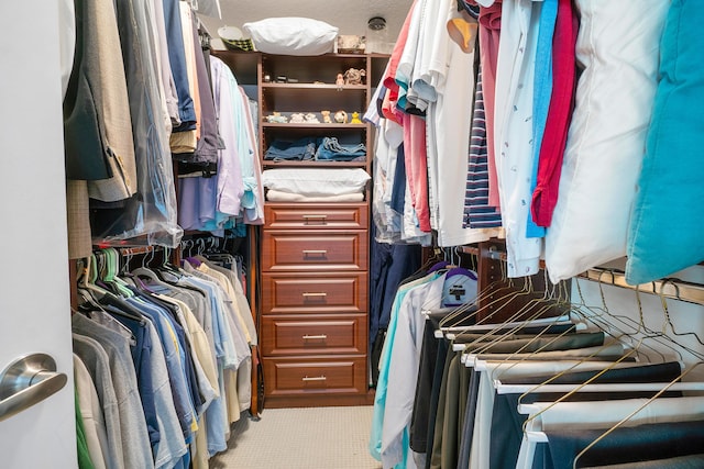 spacious closet with light carpet