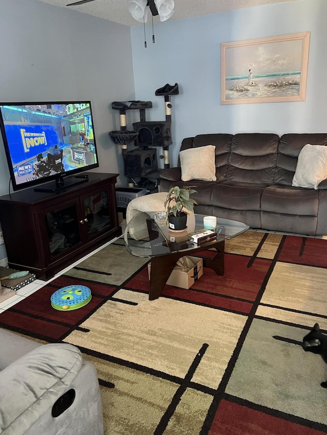 living room featuring a textured ceiling