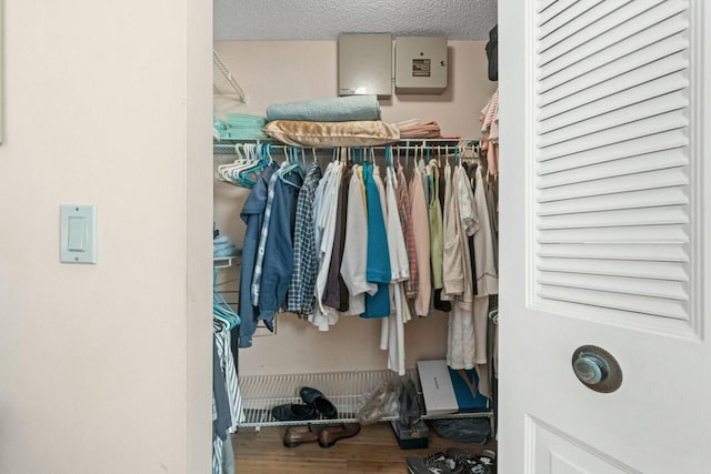 walk in closet with hardwood / wood-style flooring