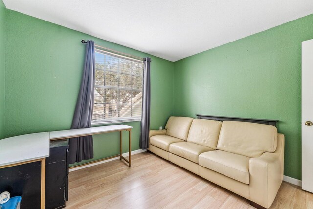 living room featuring hardwood / wood-style floors