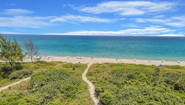 view of water feature featuring a view of the beach