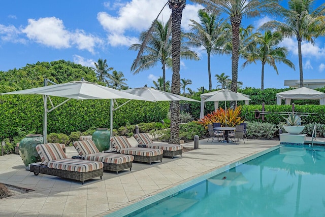 view of pool with a patio