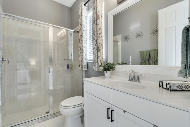 full bathroom featuring vanity, toilet, and a shower stall