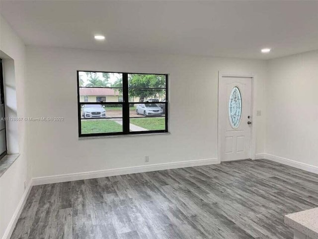 foyer entrance featuring wood-type flooring