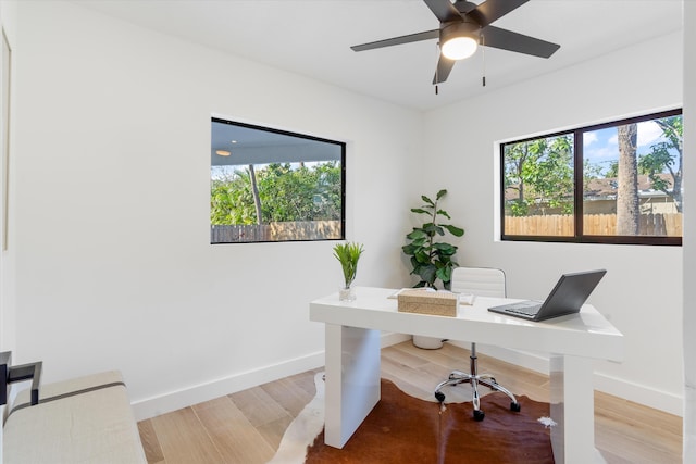 office space with hardwood / wood-style flooring and ceiling fan