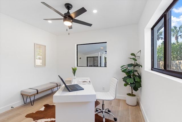 office featuring light hardwood / wood-style flooring and ceiling fan