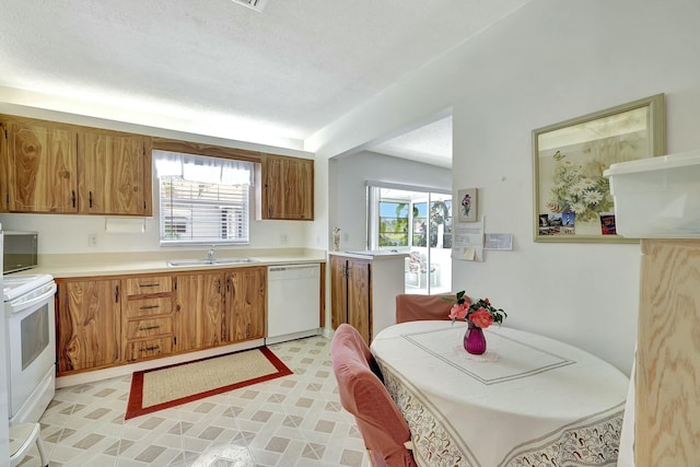 kitchen featuring sink, white appliances, a textured ceiling, and a healthy amount of sunlight