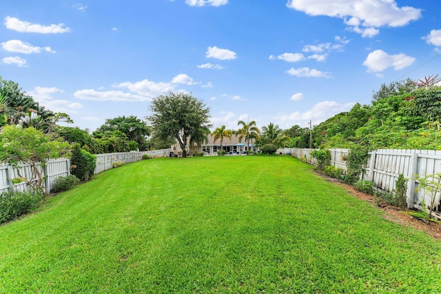 view of yard with a fenced backyard