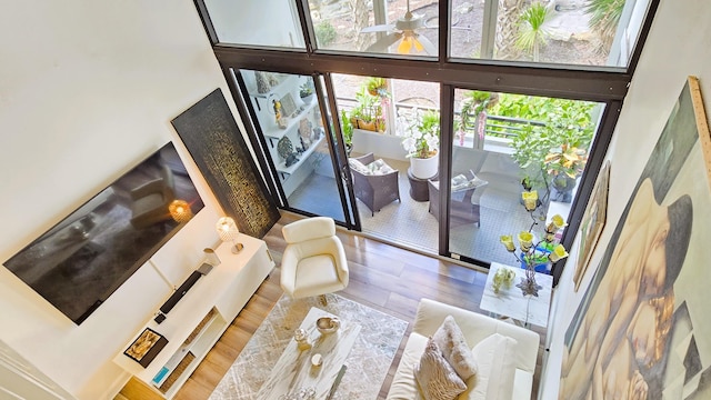 living room featuring a towering ceiling and hardwood / wood-style flooring