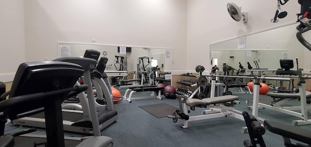 exercise room featuring a high ceiling