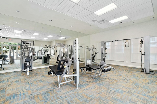 exercise room featuring carpet floors and a paneled ceiling