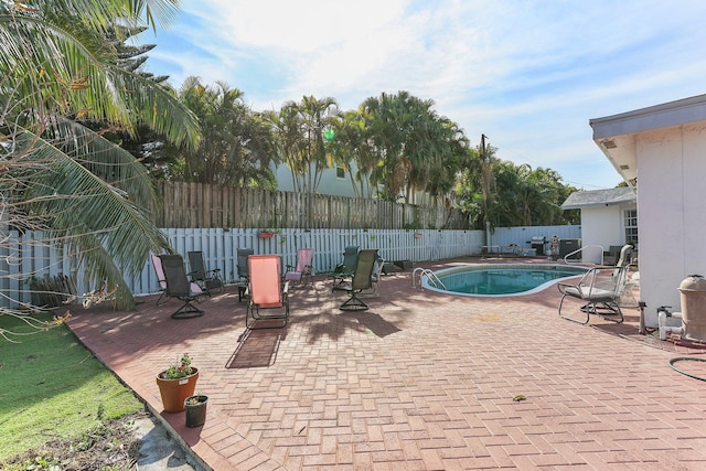 view of pool with a patio area