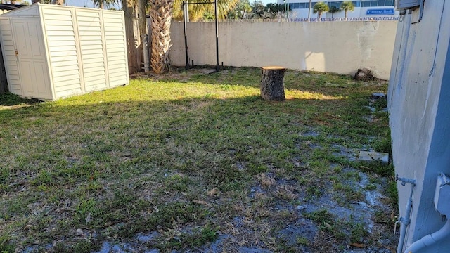 view of yard with a storage unit