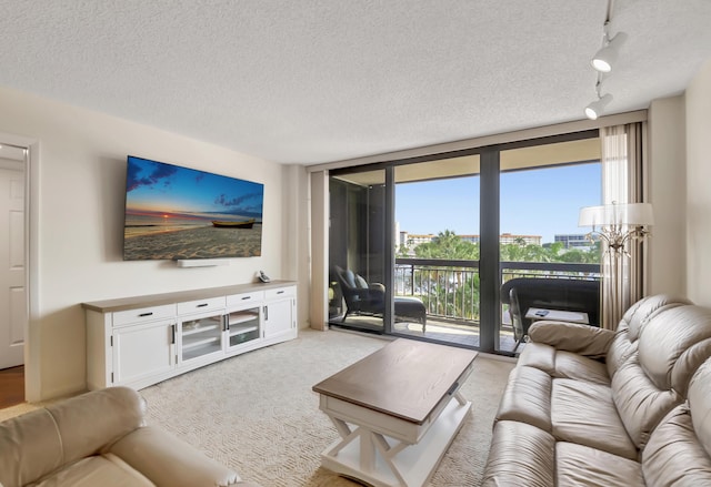 carpeted living room featuring track lighting, expansive windows, and a textured ceiling