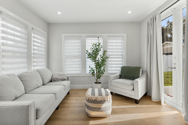 living room with light hardwood / wood-style floors and a healthy amount of sunlight