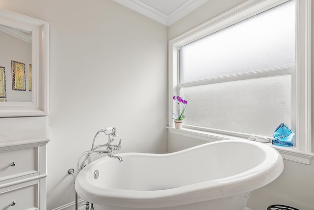 bathroom featuring crown molding and a bathtub