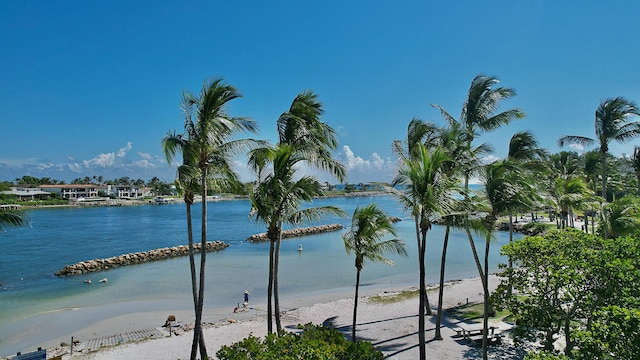 water view featuring a beach view