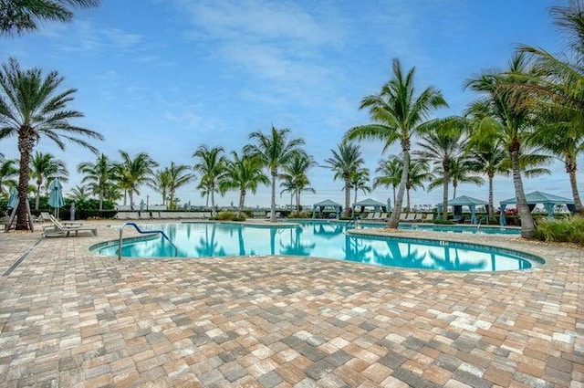 view of swimming pool featuring a patio