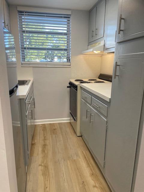 kitchen with gray cabinetry, white range oven, and light hardwood / wood-style flooring