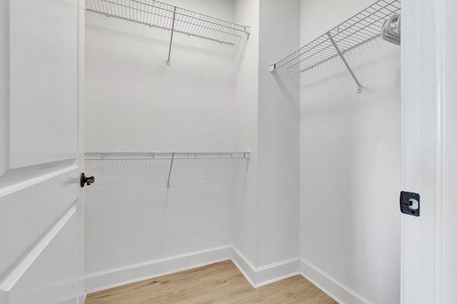 walk in closet with hardwood / wood-style flooring