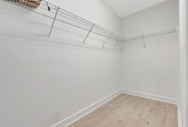 spacious closet featuring wood-type flooring