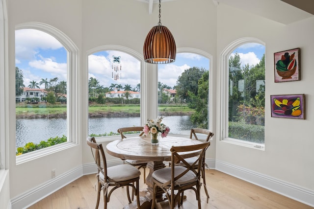 dining room featuring light hardwood / wood-style flooring, plenty of natural light, and a water view