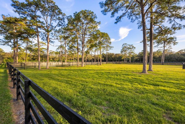 view of yard featuring a rural view