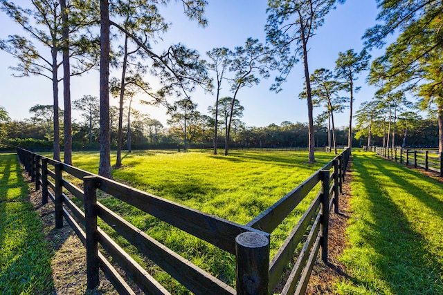 view of yard with a rural view