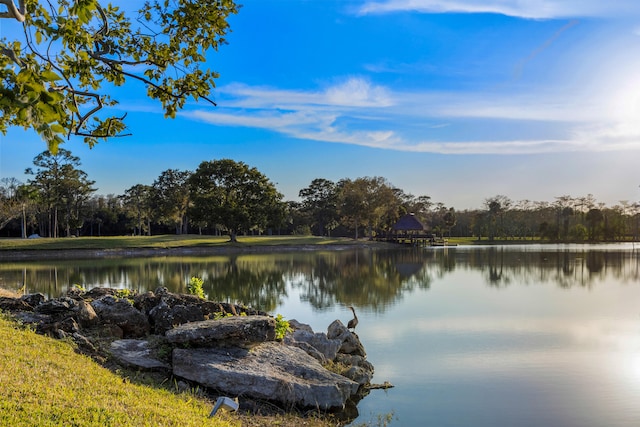 property view of water