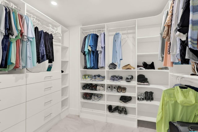 view of spacious closet