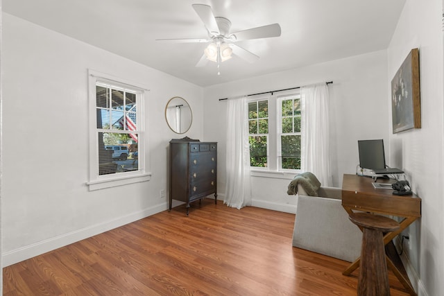 office area featuring hardwood / wood-style flooring and ceiling fan