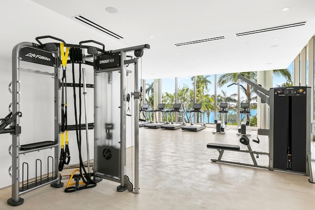 exercise room featuring expansive windows