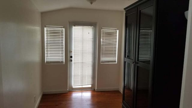 entryway with lofted ceiling and dark wood-type flooring