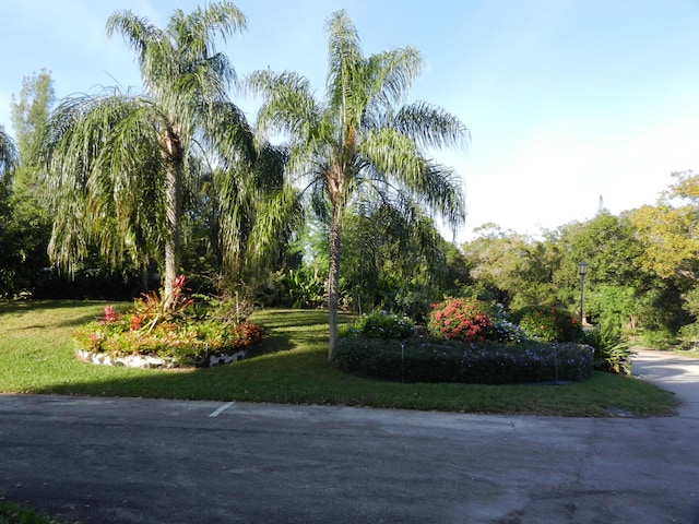 view of property's community with a yard