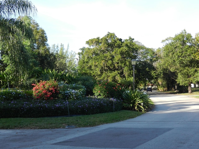 view of road