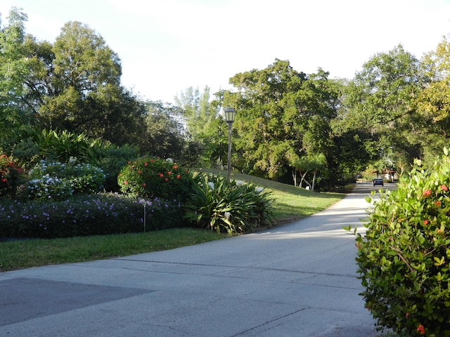 view of street