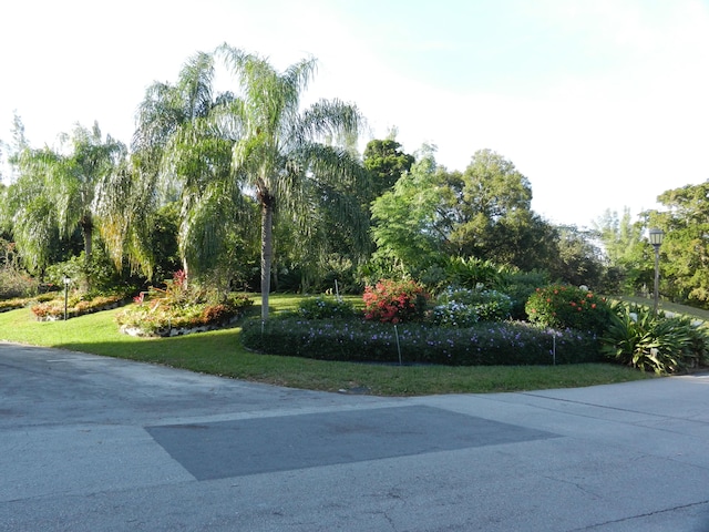 view of home's community with a lawn