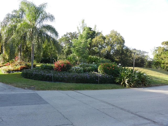 view of community with a lawn