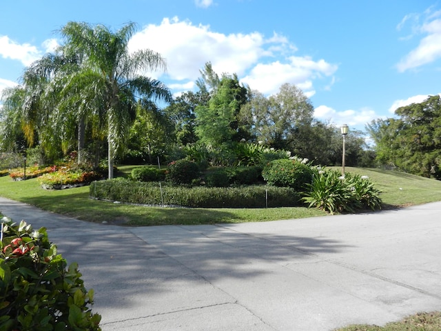 view of home's community with a yard