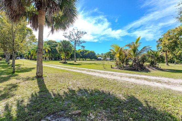 view of community featuring a lawn