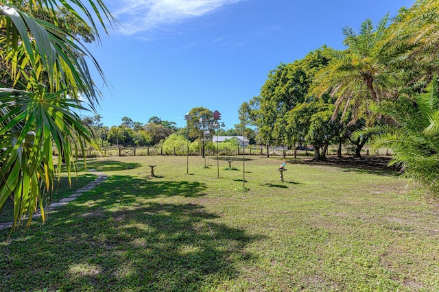 view of yard